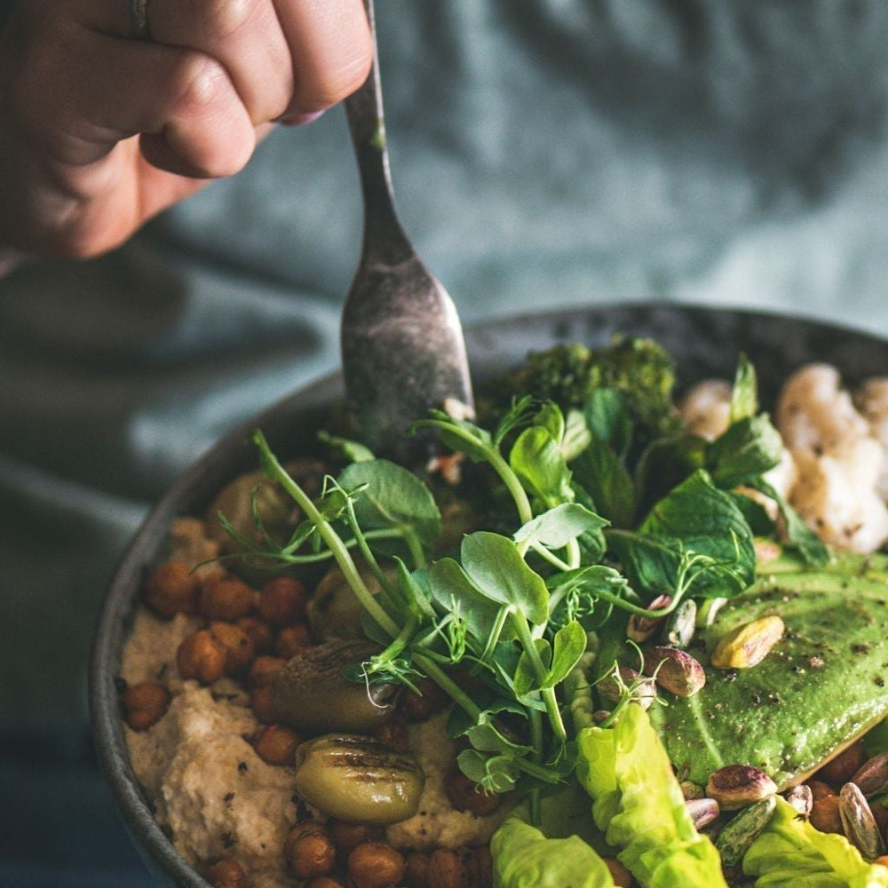 Why are we obsessed with Gut Health?